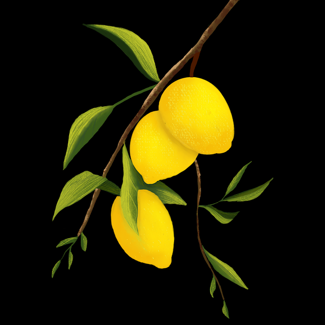 暗网禁地匿名社区趋势｜隐秘站点导航活跃度持续上升