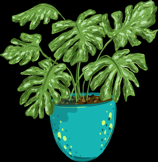 鉴黄师官网入口边界问题操作手册释出｜内容审核机制迭代分析有效解决争议视频