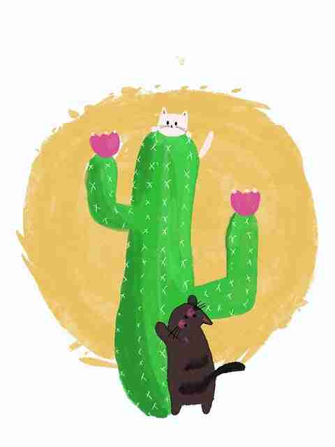 好色先生tv画面氛围盘点｜恋爱姿态呈现构图极具张力