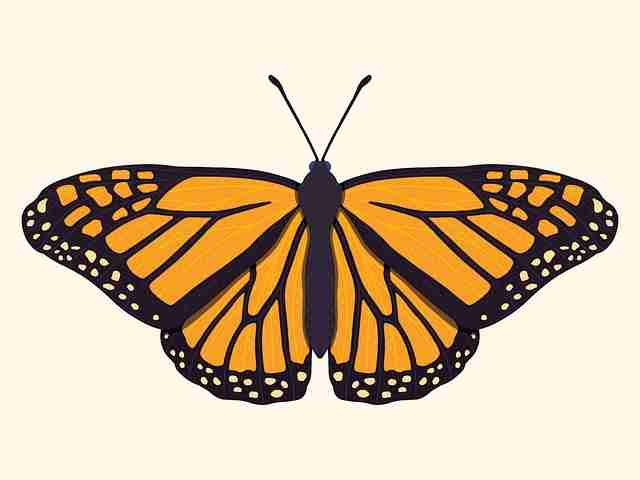 好色先生TV站内视觉榜排行｜平台视觉风暴作品多次登顶