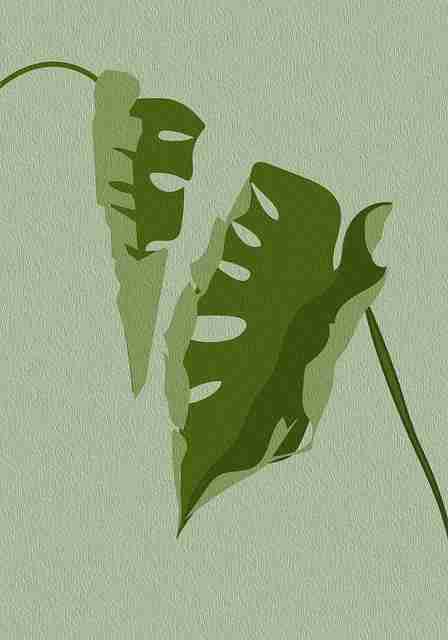 鉴黄师官网入口职责边界梳理｜审查员成长路径定位持续升级中